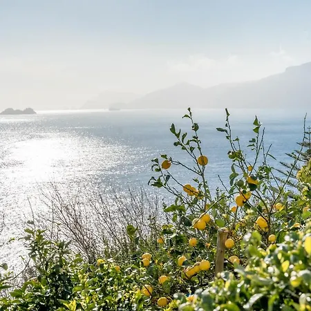 Sofia Willa