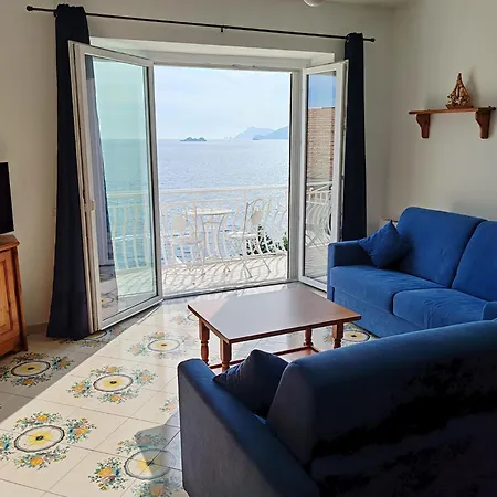 Sofia Vila *